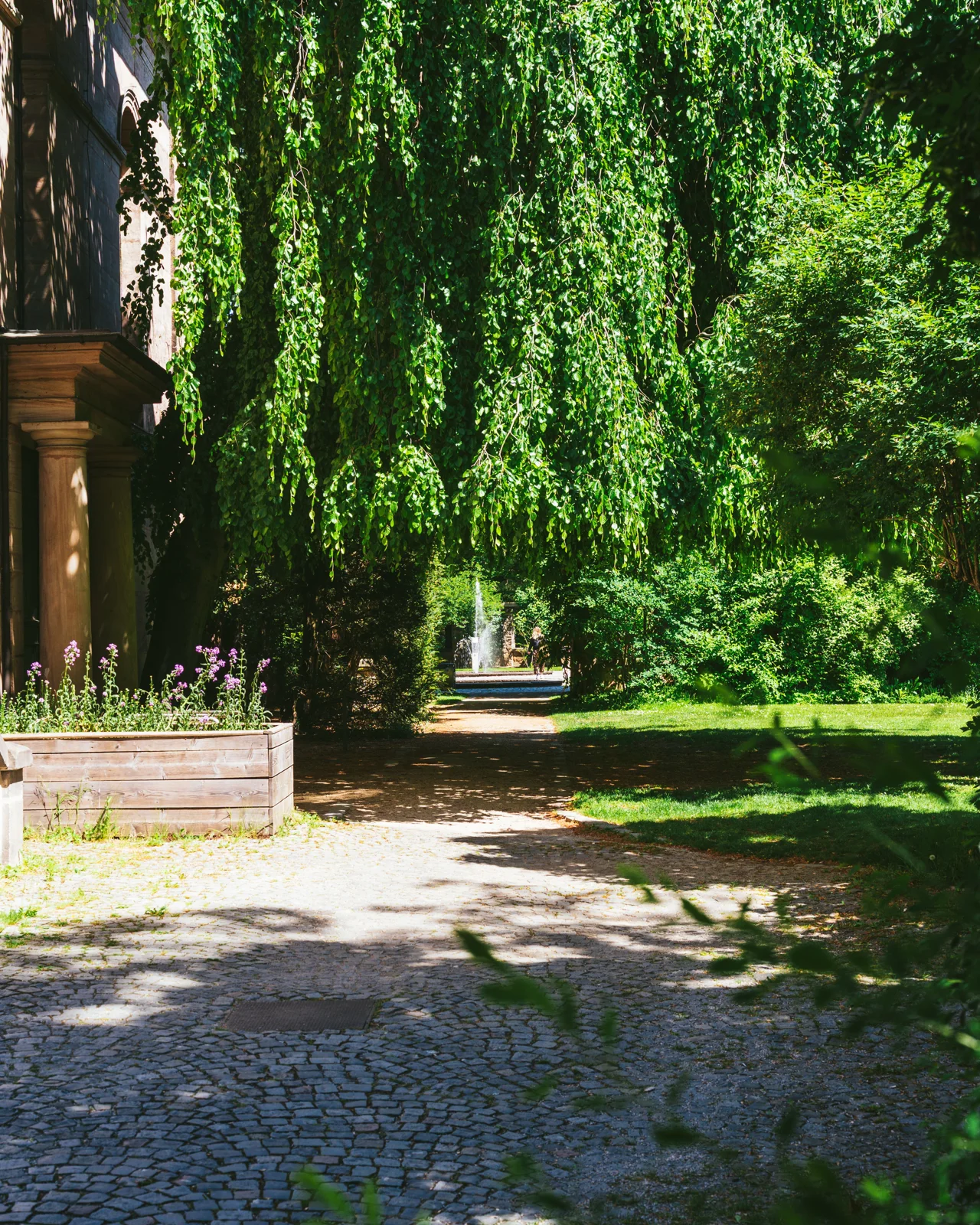 Stone garden path beneath green foliage